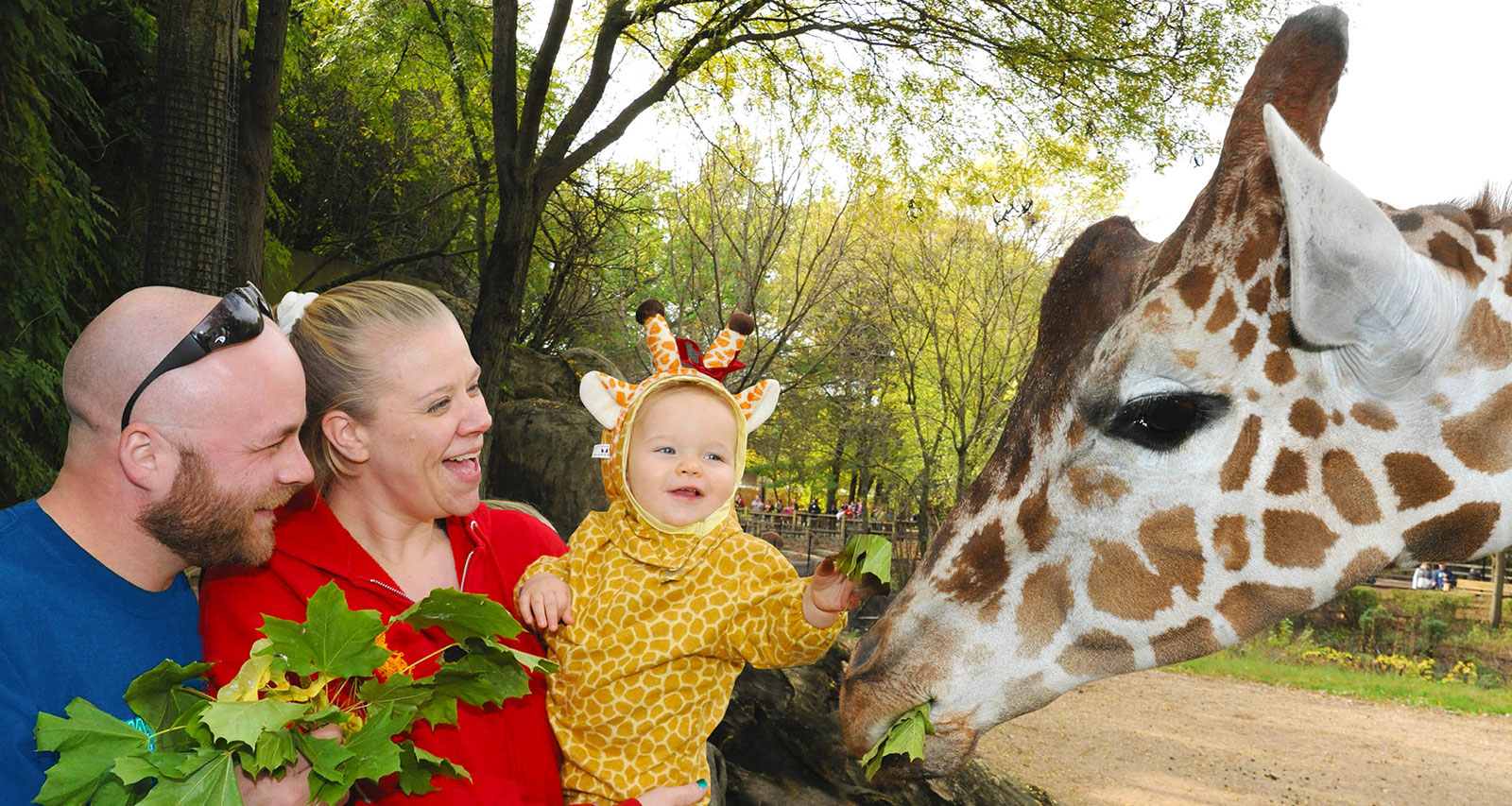 Photo: /74/BROOKFIELDZOO Family-Friendly-Road-Trip-Hero-1.jpg